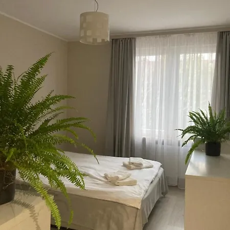 Kwiatowy Zakatek Apartment Kolo  Exterior photo